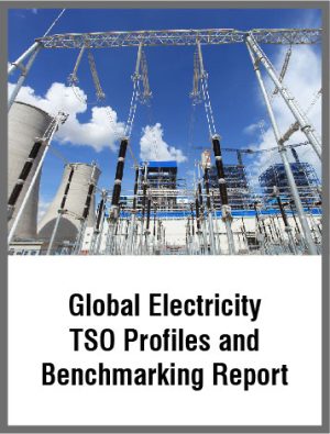 Global Electricity TSO Profiles and Benchmarking Report 2019